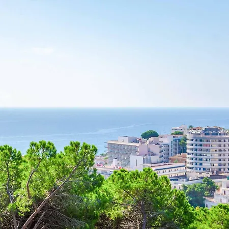Contesa 4*
